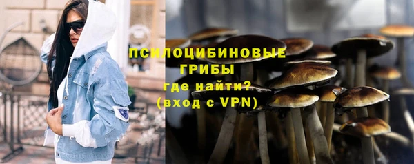 СК Инта