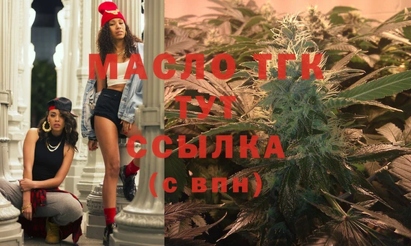 СК Инта