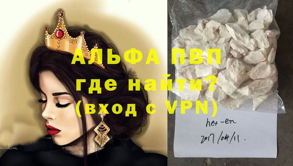 стаф Инсар