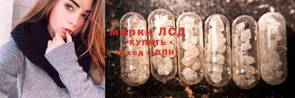 стаф Инсар