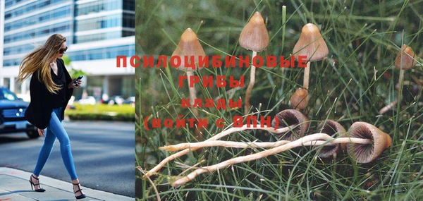 молекула духа Зеленодольск