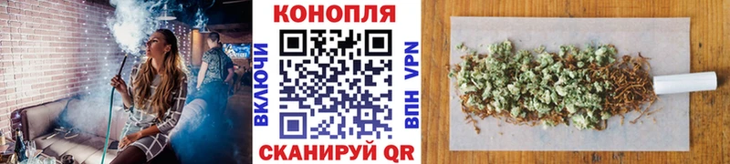 магазин продажи наркотиков  Мосальск  мега зеркало  Шишки марихуана LSD WEED 